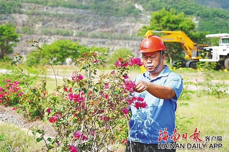 海南這座礦山，為何這么綠？4.jpg